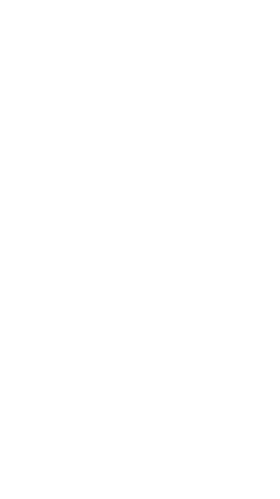 Riesa Nudeln
